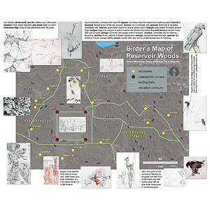 digital mapping of bird trails / Reservoir Woods 3